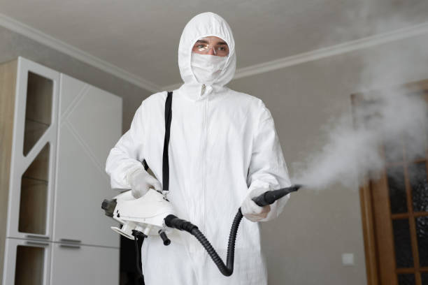 Trusted Viroqua, WI Mold Inspection Experts